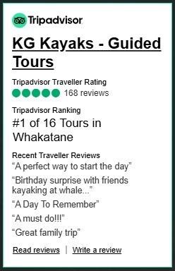 KG Kayaks Tripadvisor