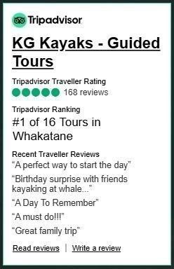 KG Kayaks Tripadvisor