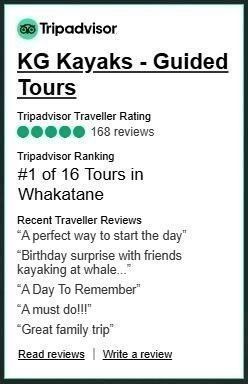 KG Kayaks Tripadvisor