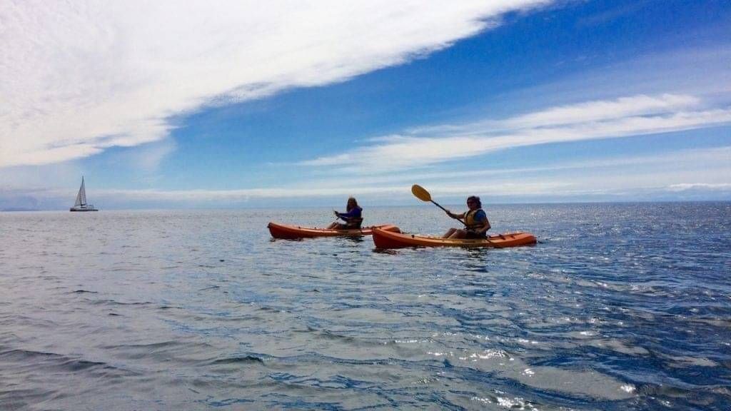 Guided Kayak Tours