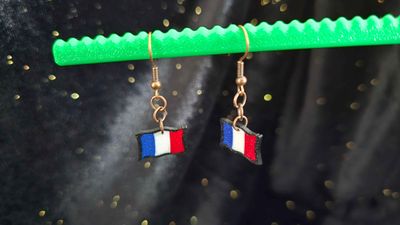 French Flag Earrings