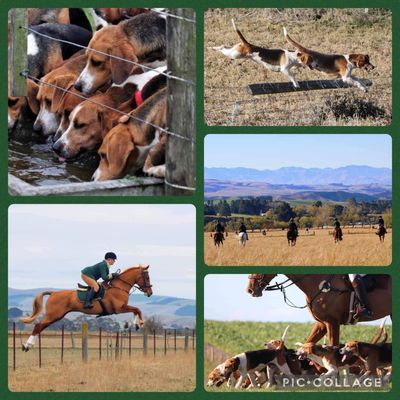 FFH Hunting Gift Cards