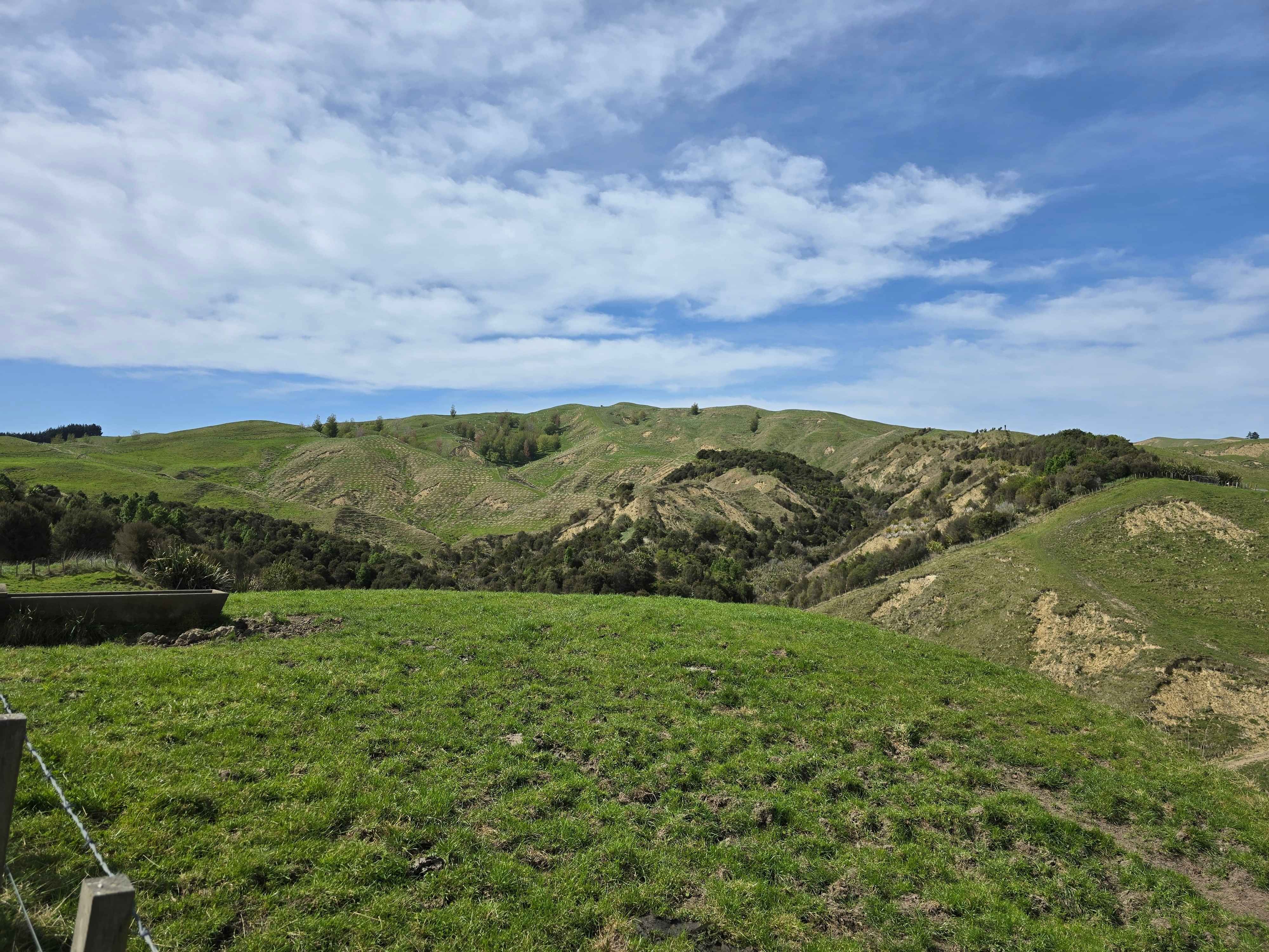 Tailored Forestry Solutions for Farmers