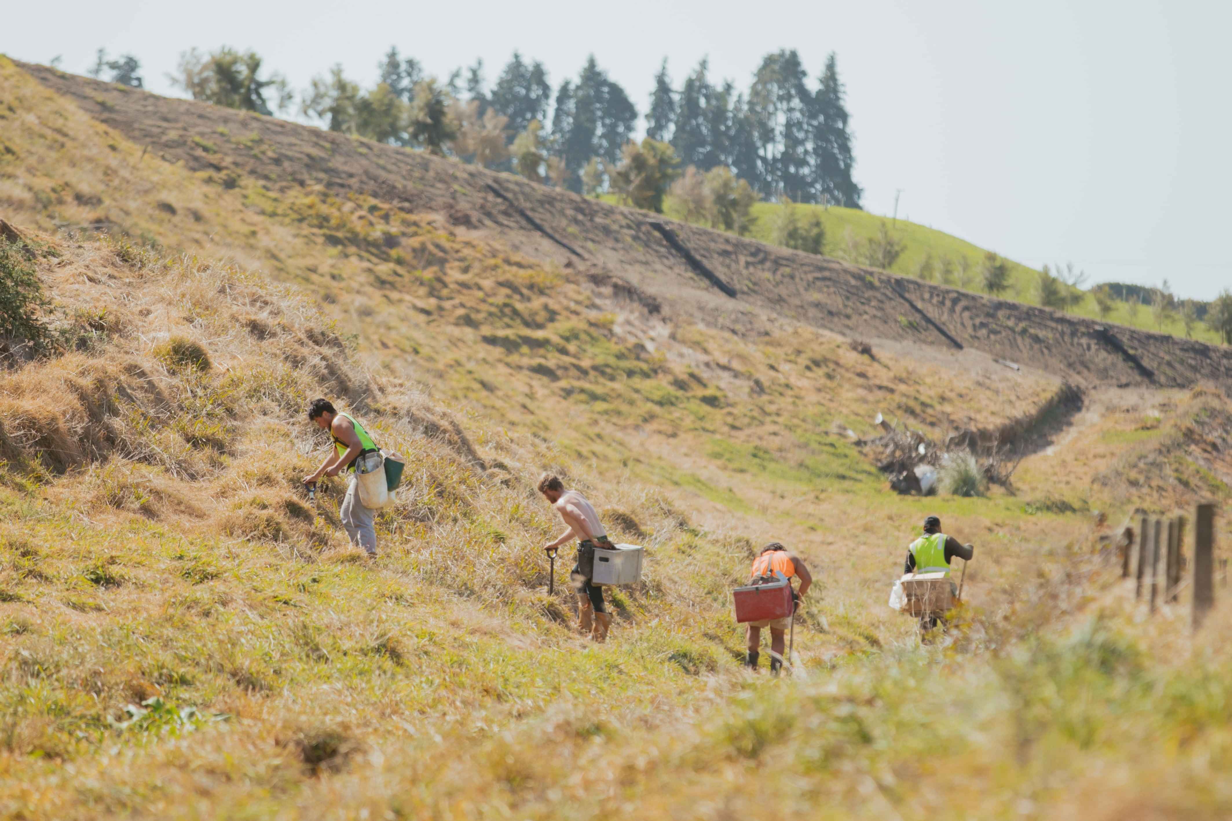 Tailored Forestry Solutions for Every Landowner