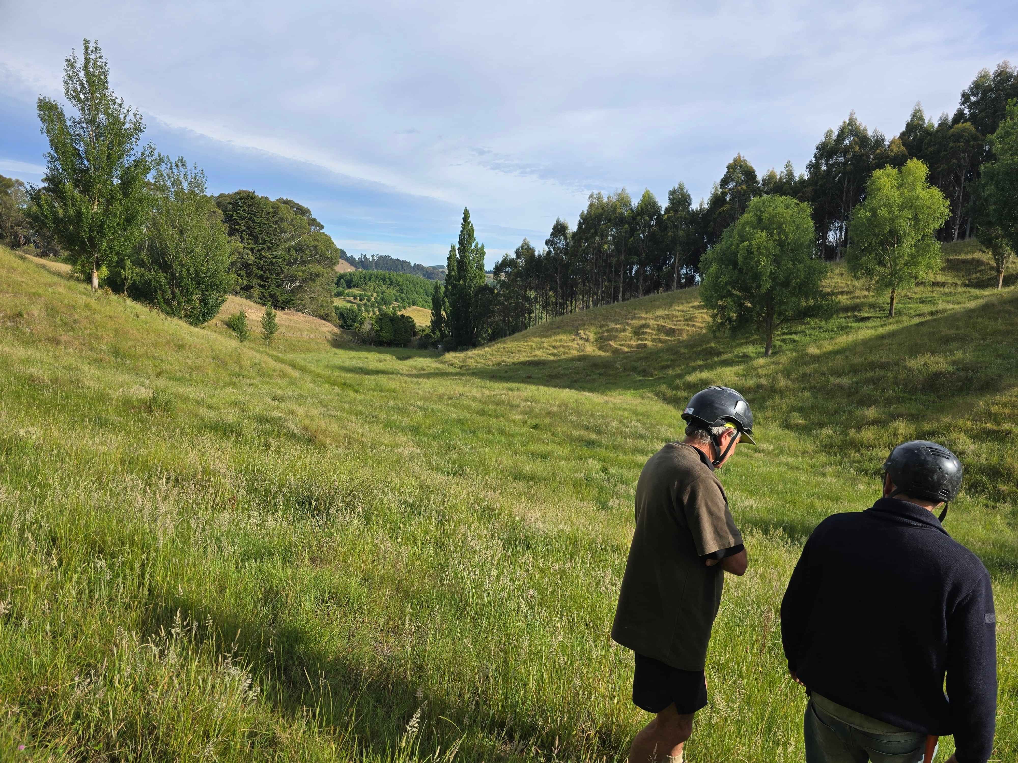 Tailored Forestry Solutions for Every Landowner