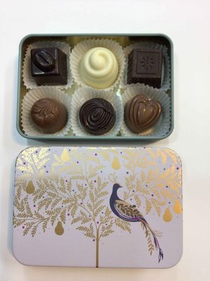 Scilla Chocolates Xmas Peacock 6pc