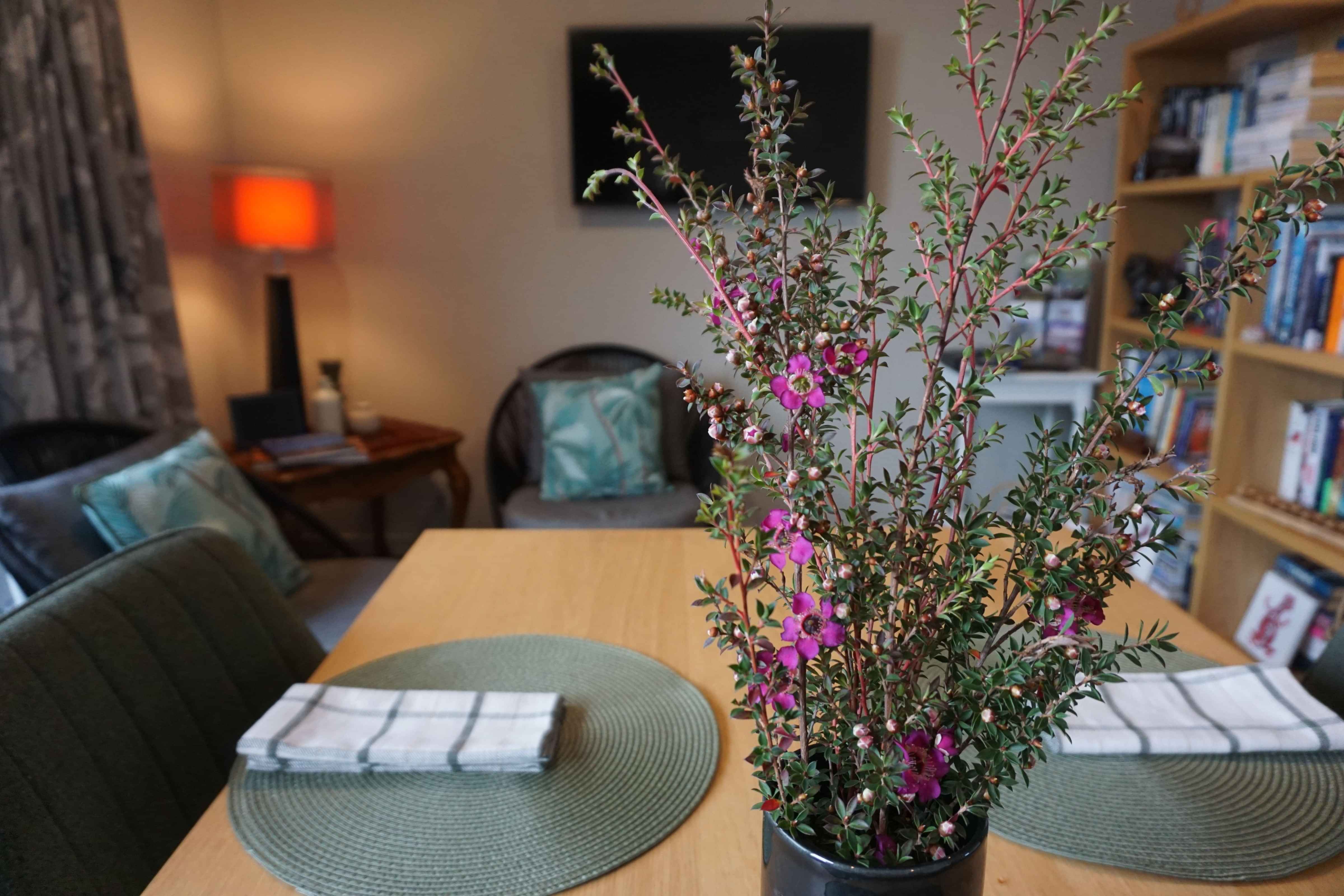 Image of guest breakfast room at Titoki House in Cambridge.  Luxury Bed & breakfast accommodation. New Zealand.