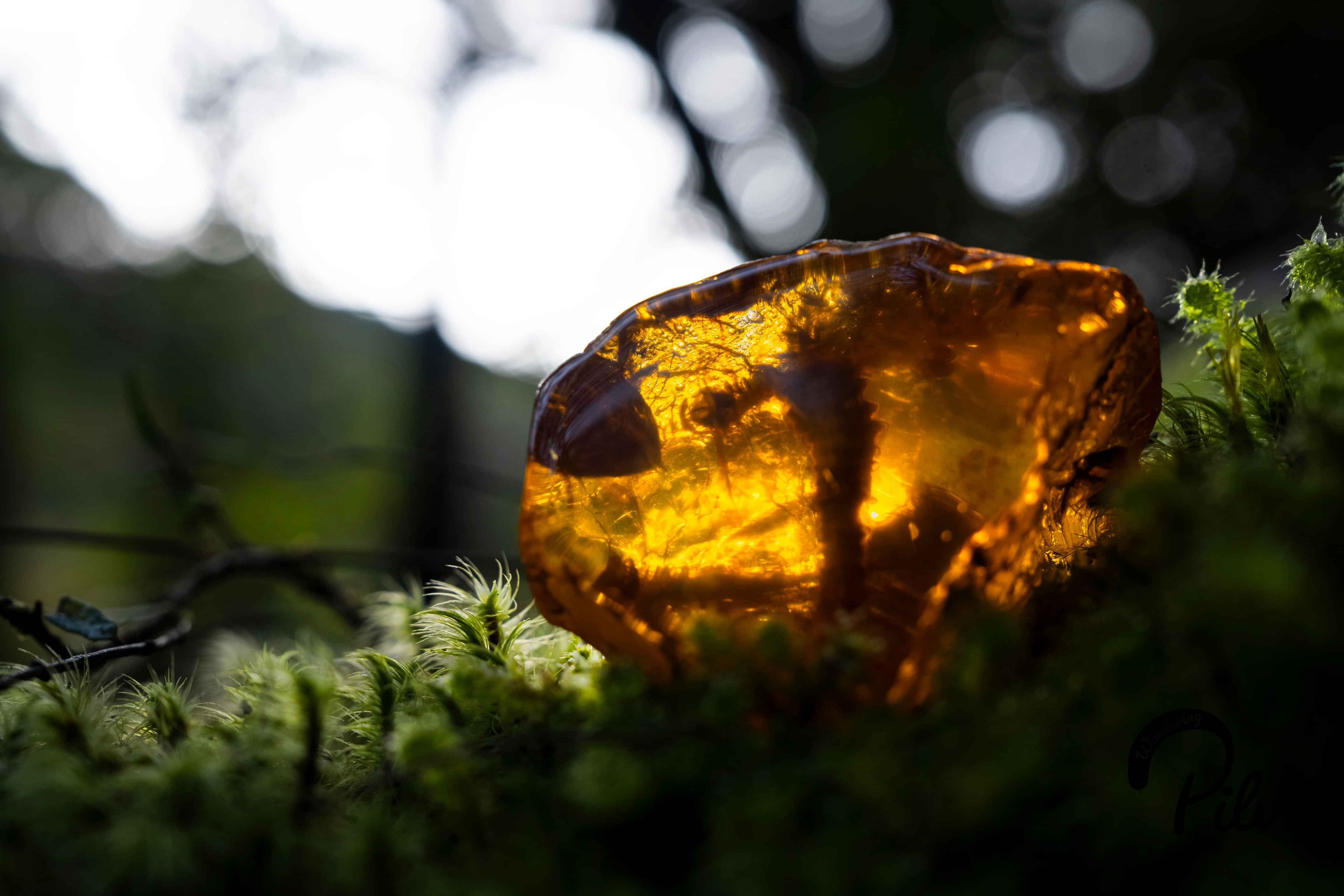 Parked trams all lined up in a shed