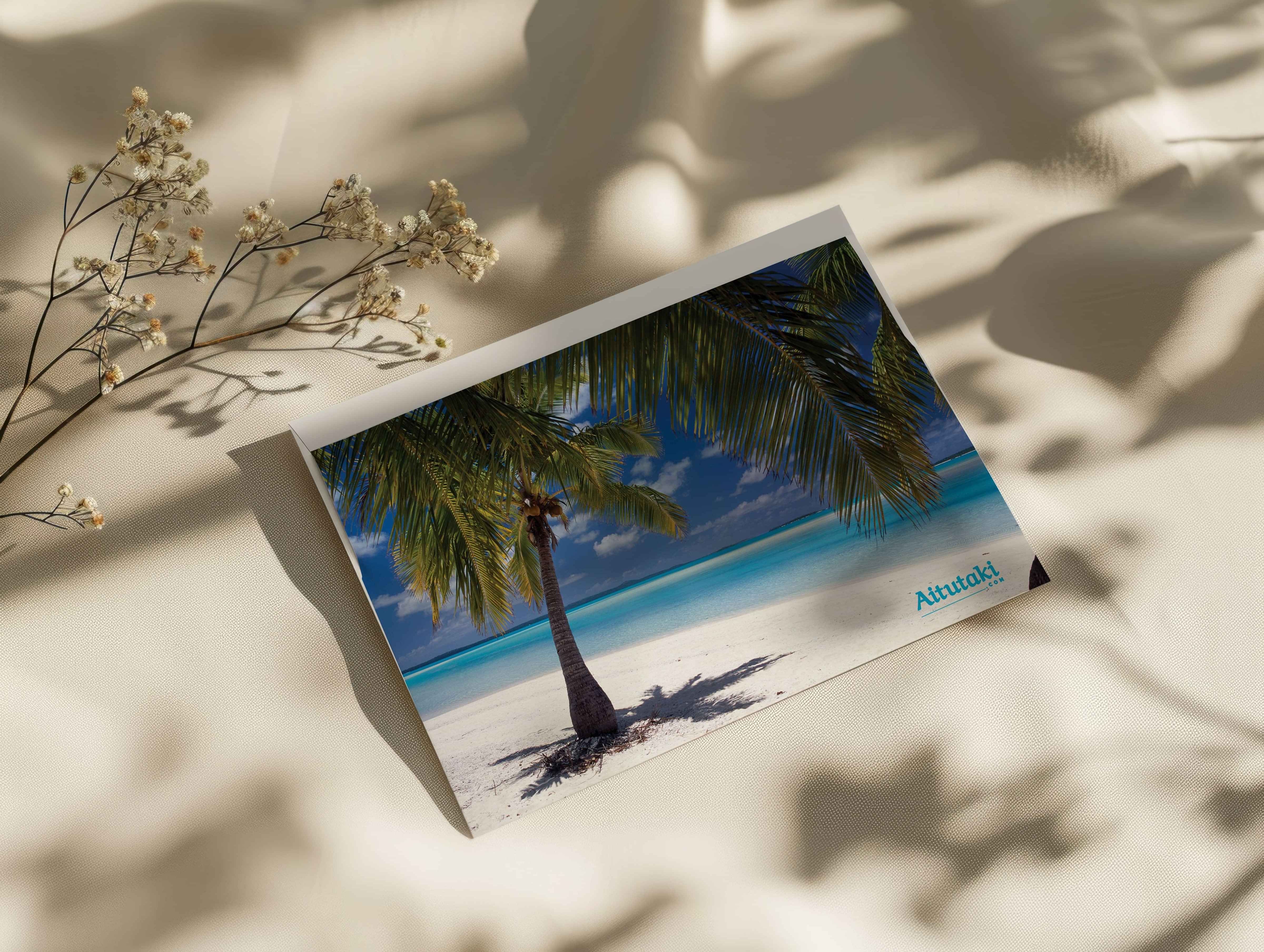 Aitutaki.com Logo Design | Wedding Logo Design Tauranga