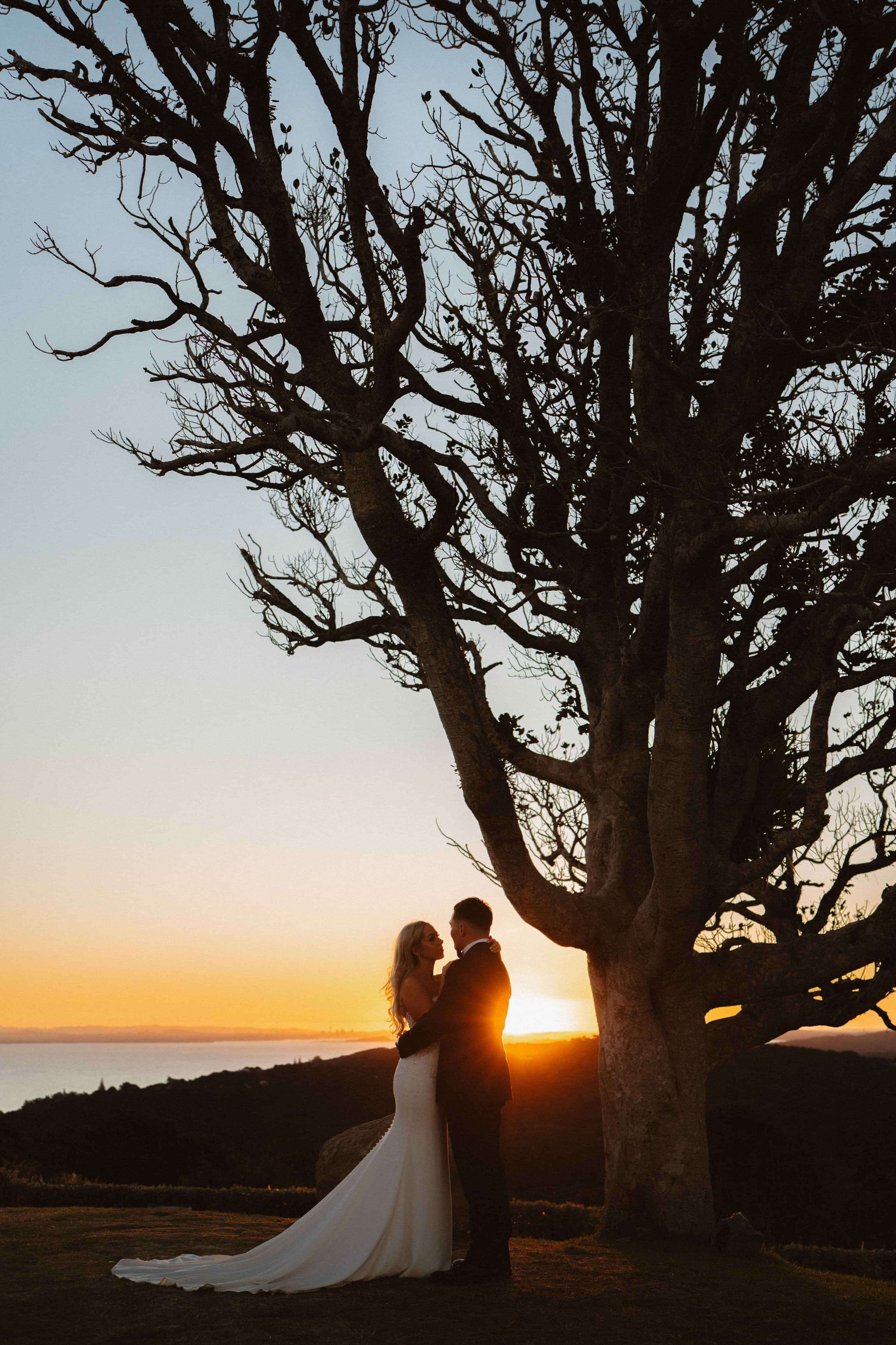 Weddings at batch winery, Waiheke island