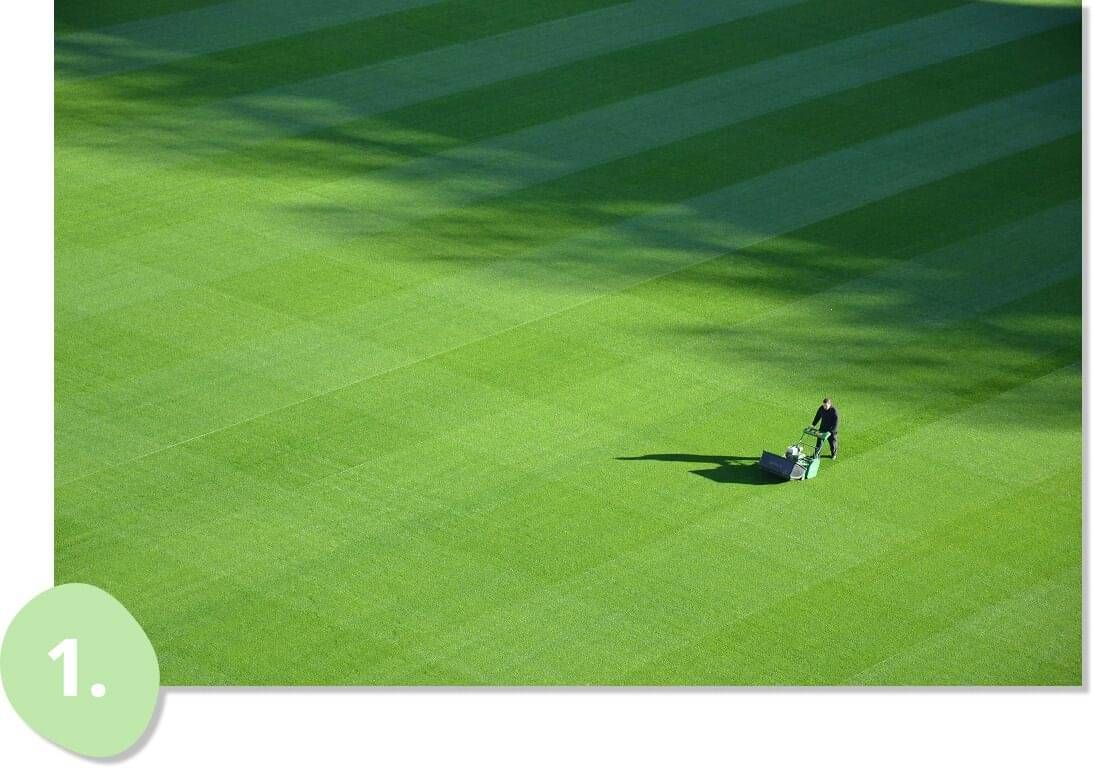 Residential & Commercial Lawns hydroseeding