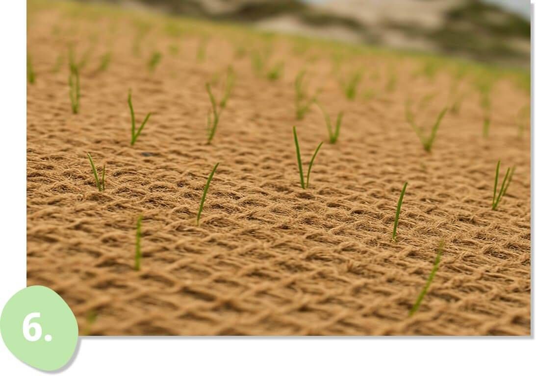 Geotextiles, Groundcovers & Weed Suppression
