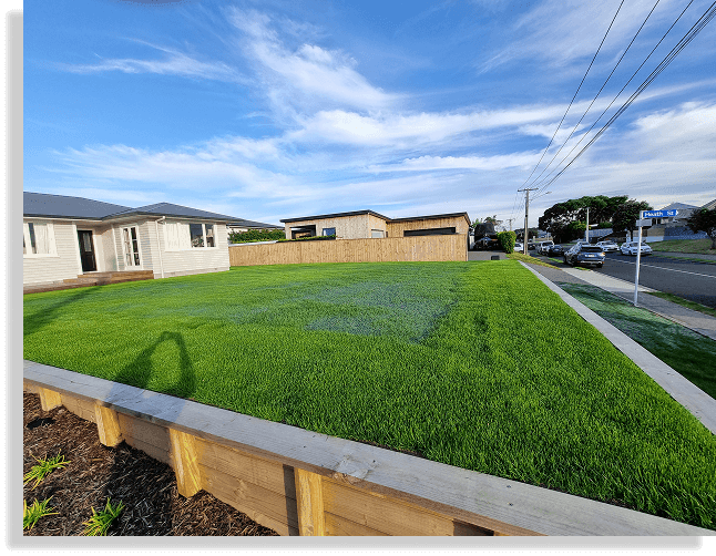 Residential Hydroseeding Home Lawn Restoration in Bay of Plenty