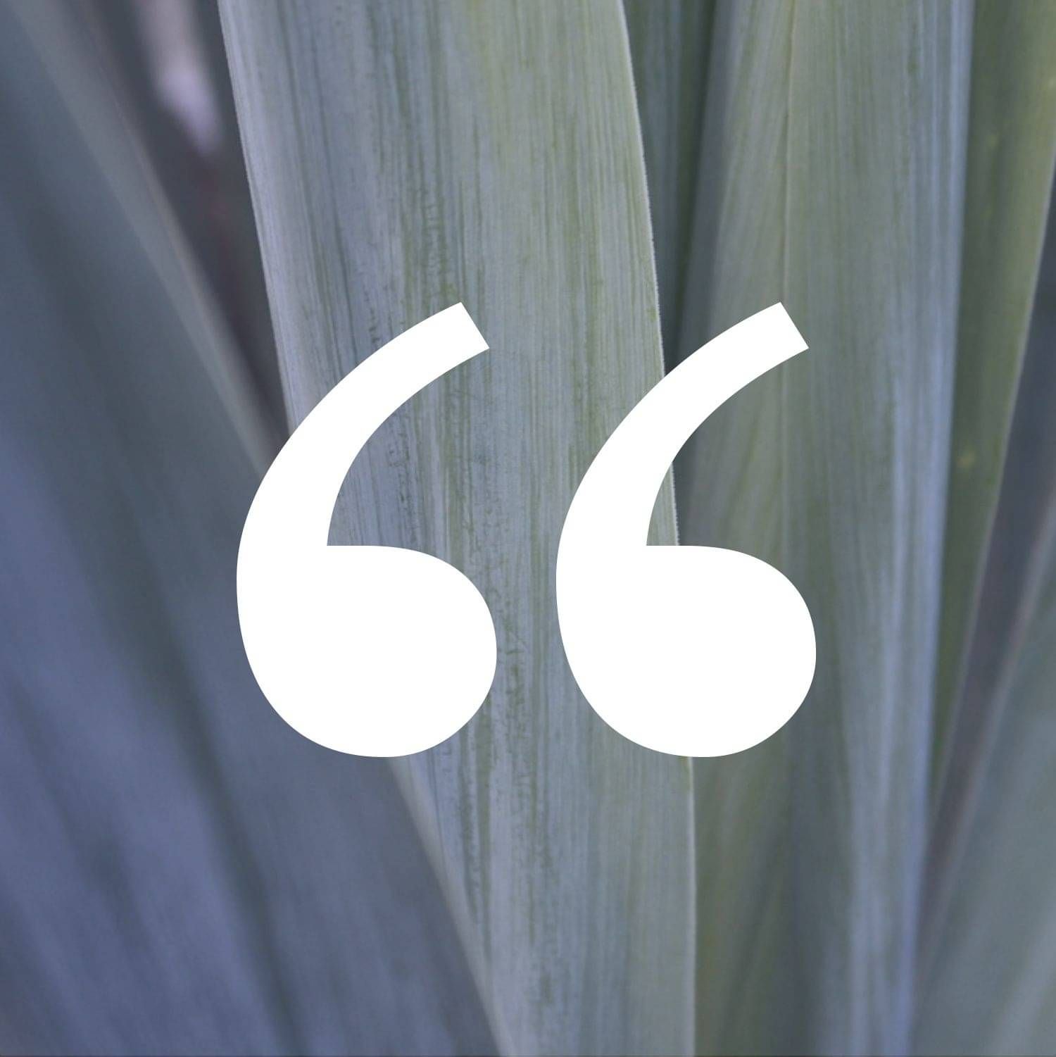 Need help with words? I'll write your content