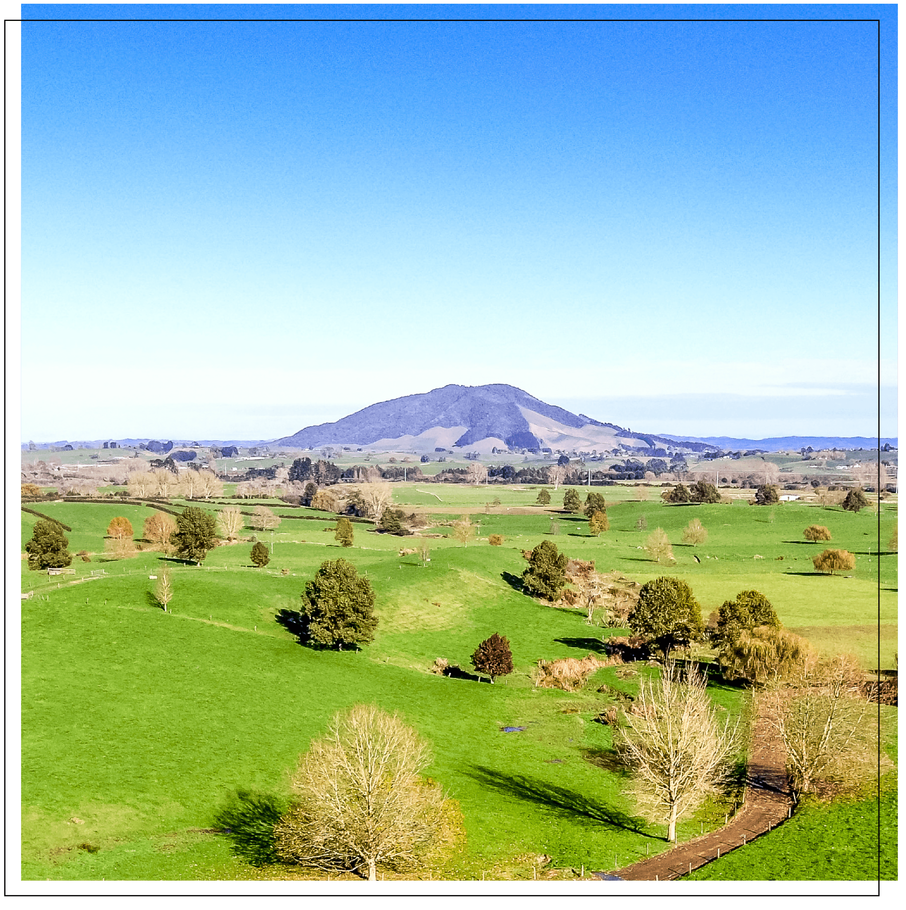 Shot of Waikato Rural Land