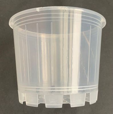 CLR-120 Clear Aussie UV Treated flat