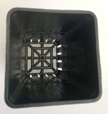 Square pot 70