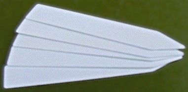 Large White 100