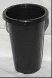 Asian Style Cymbidium Small Pot 100