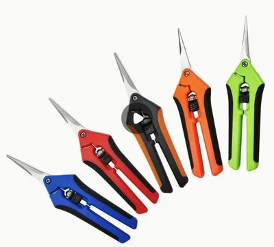 Fine Tip Scissors