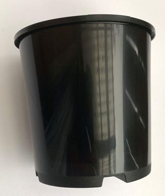 Round Black Pot 6.0L