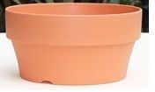Large Succulent Pot (Terracotta)