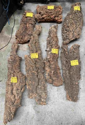Cork Flat