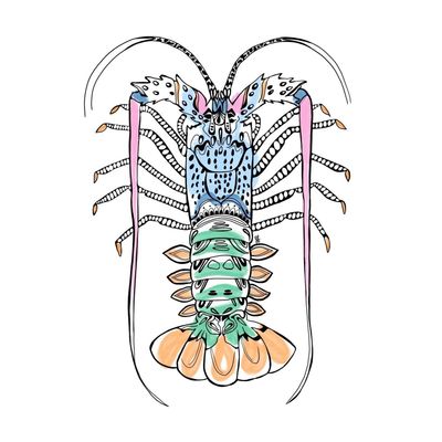 Tropical Crayfish Sticker
