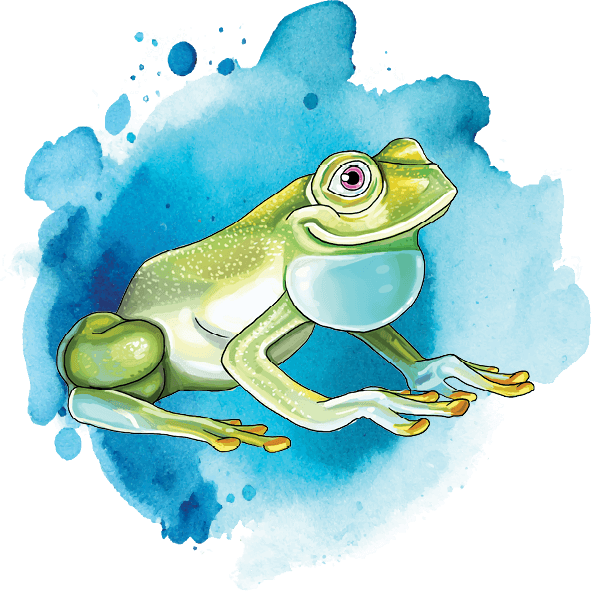 Ace Learn to Swim green frog icon