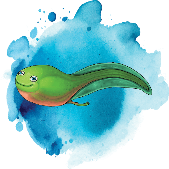 Ace Learn to Swim green tadpole icon