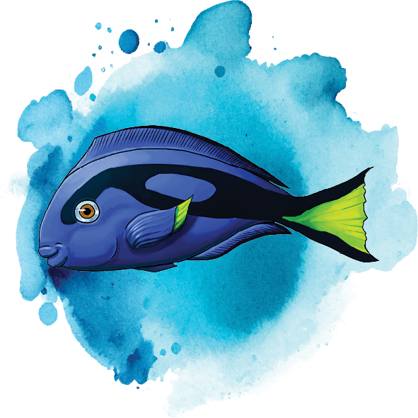 Ace Learn to Swim blue dory fish icon