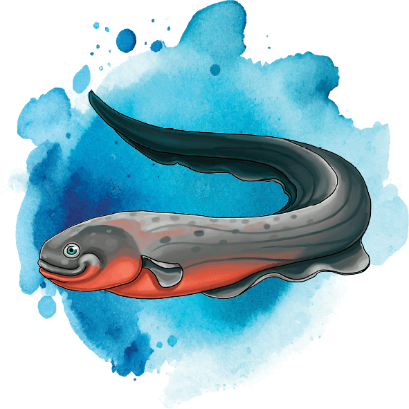 Ace Learn to Swim eel icon