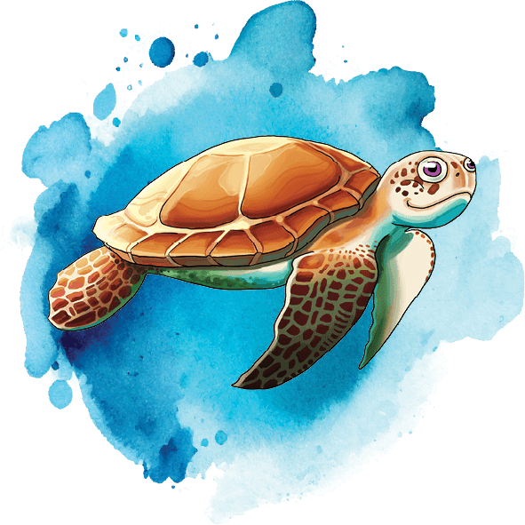 Ace Learn to Swim brown turtle icon