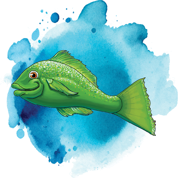 Ace Learn to Swim green fish icon