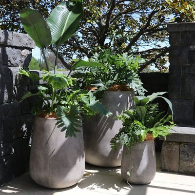 Hawthorne - Karamea Planter