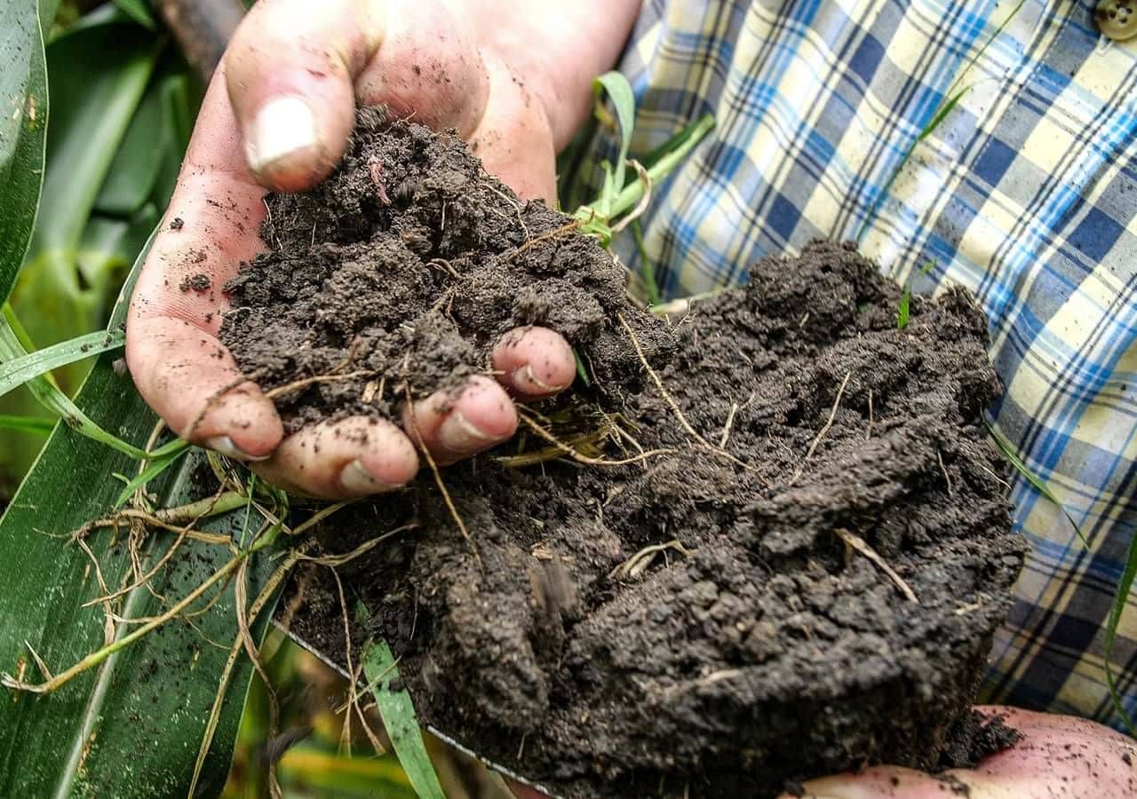 Regenerative farming