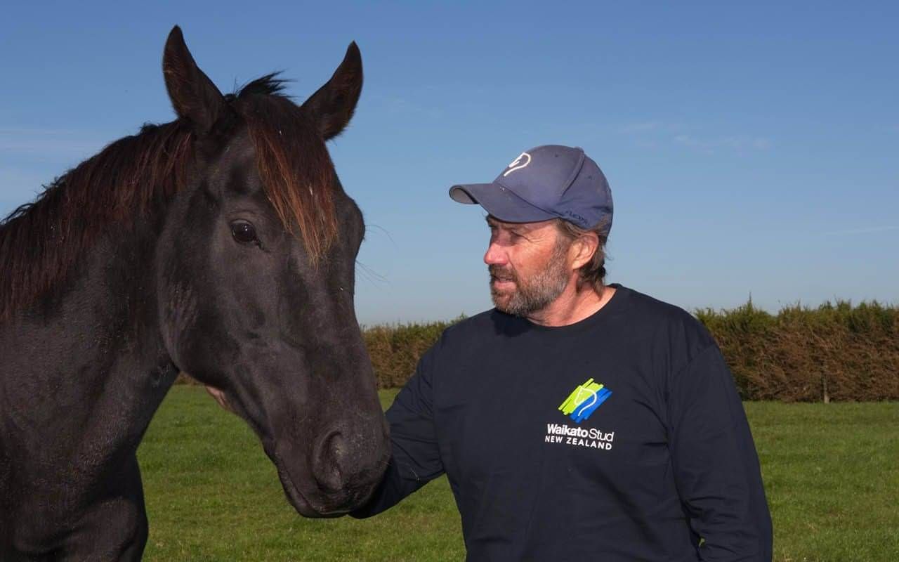 equine fertiliser