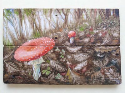 Toadstools in the Forest