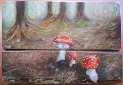 Toadstools in the Forest
