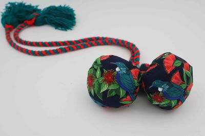 Tui &amp; Pohutukawa Poi