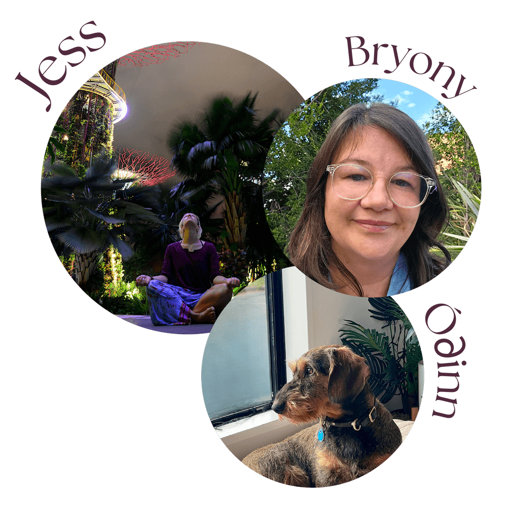 Team pictures of Jess, Bryony and Odinn at Empowering Pause.