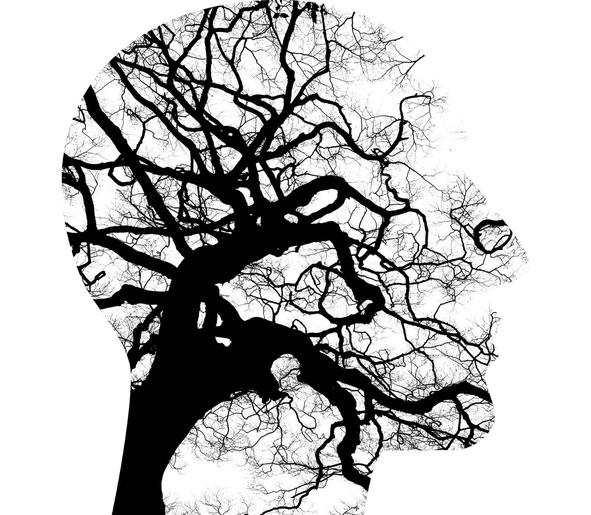 Tree silhouettes forming a face like shape.