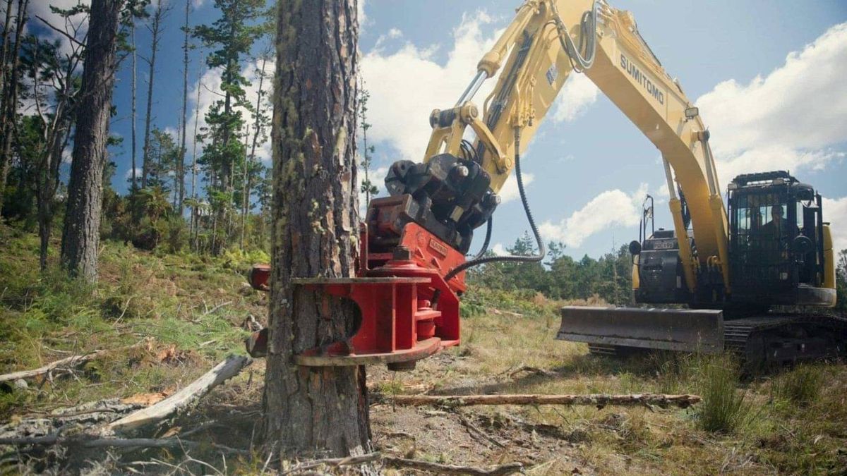 Tree Cap Work Over Tree topping and removal in Selwyn