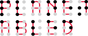 Planet Abled – India logo
