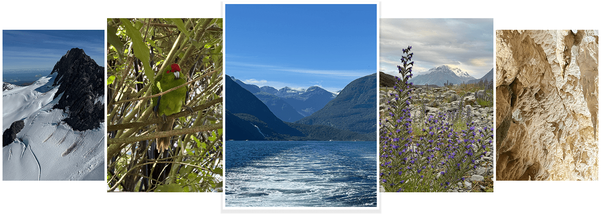 Collage of five photos showing various scenic sites around New Zealand.
