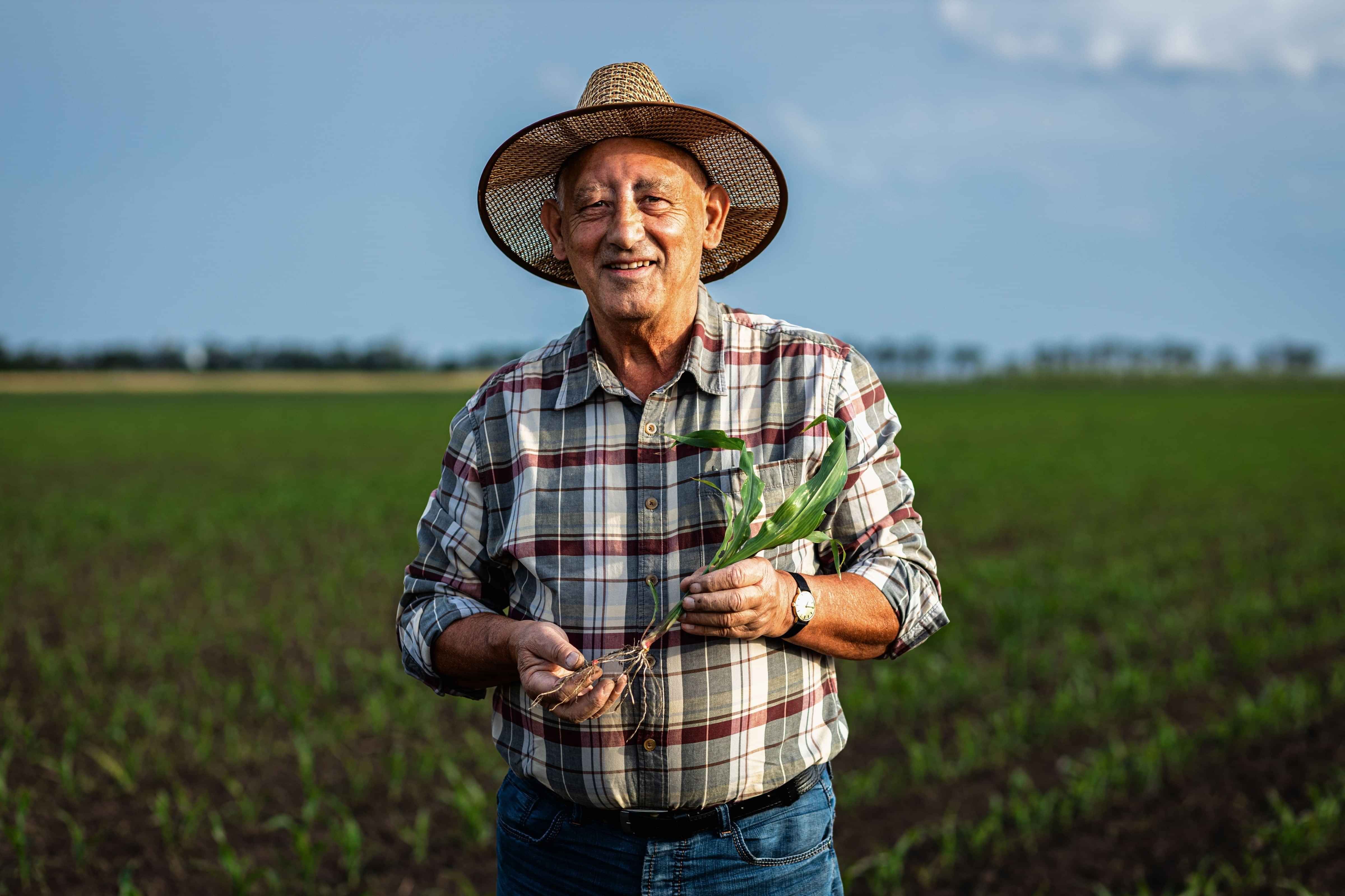 Farmer standing in a field