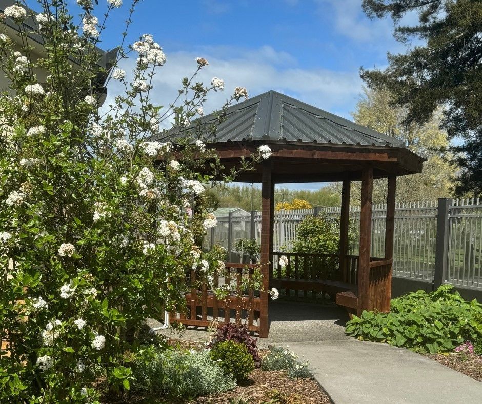 Outdoor canopy in garden sitting area