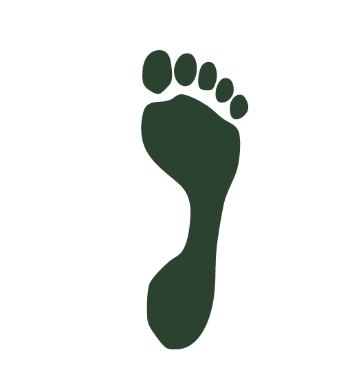 Monthly Podiatrist Icon