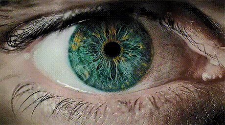 Watch how iris changes the size of our pupil. Image source: https://9gag.com/gag/aMbwdXW