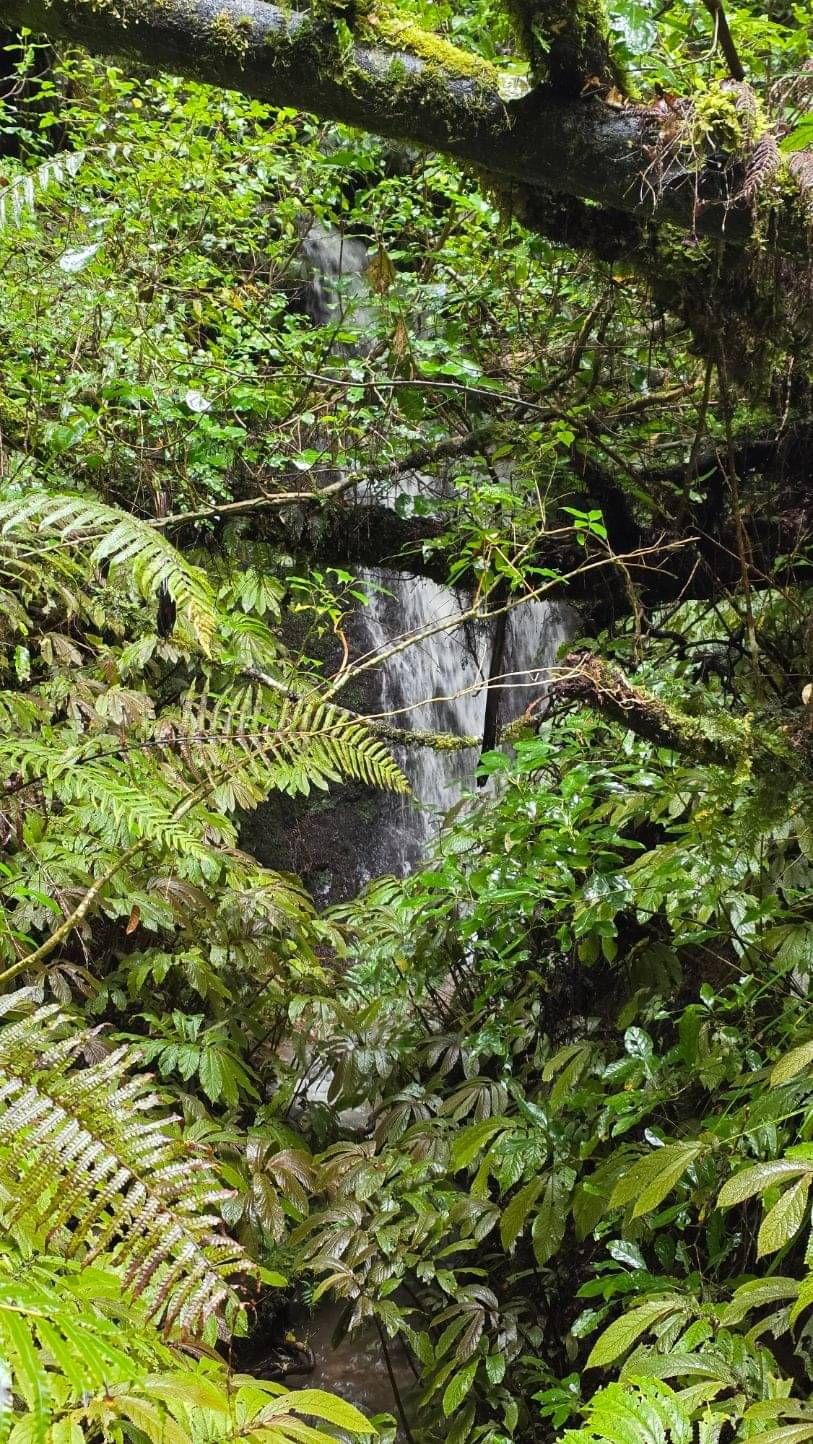 Hakarimata Walk